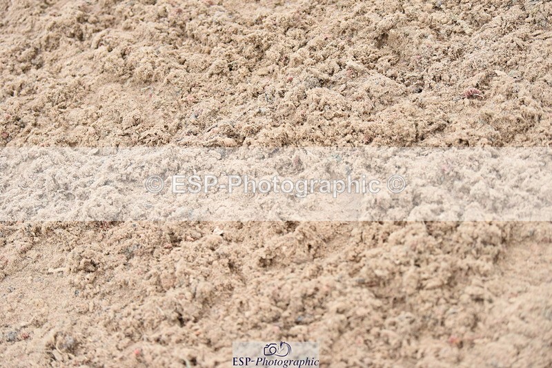 230916A-105038-03928 - Cls 14 Snr Foxhunter