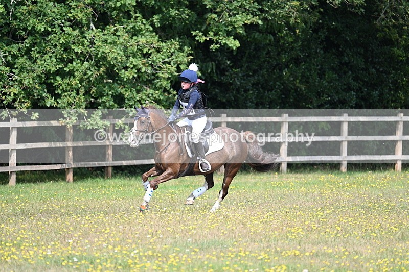 WJ7_1377 - XC Time 11:41 to 11:54