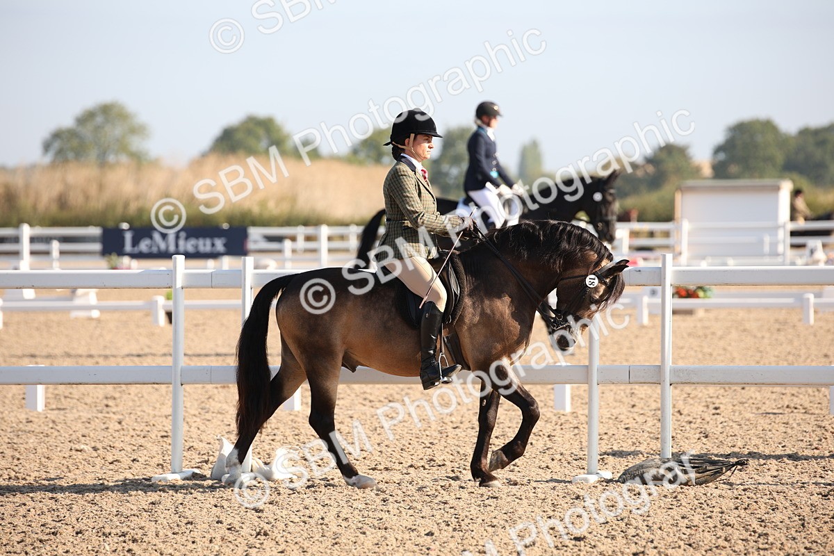 SBM_00608 - Class 14 Ridden M&M Wildcard