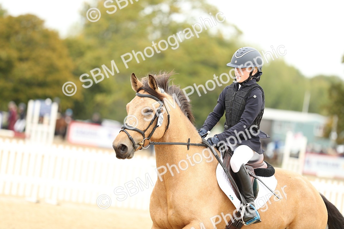 SBM_59525 - J25 - Junior Horse 80cm Championship