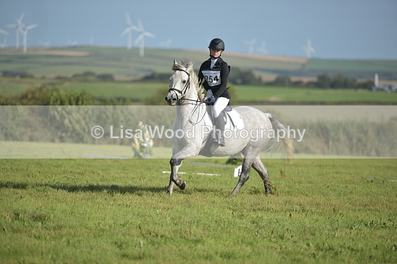 RAY_7392 - Class 2B: Trekenning Open: Dressage