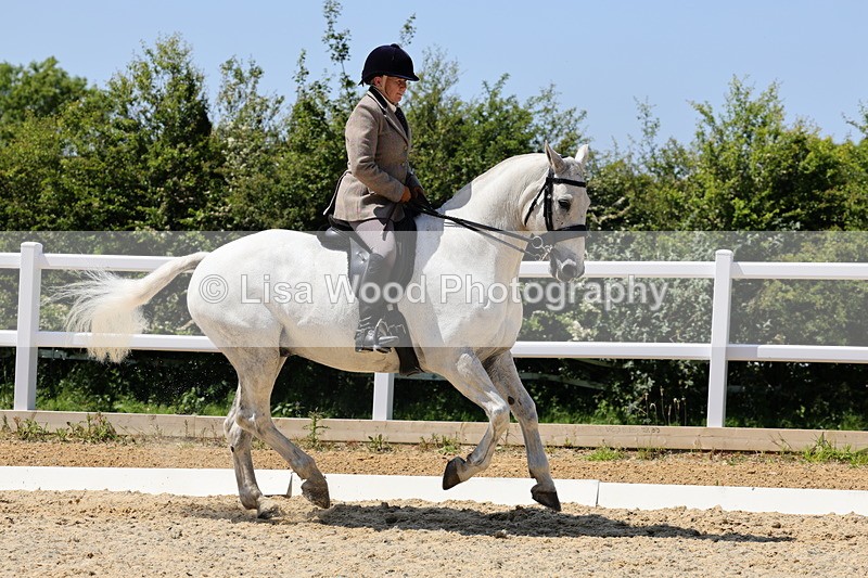 1X9A1780 - Class 11: Ridden Cob