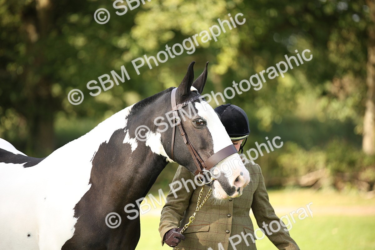 SBM_61206 - S54 - Show Cob In Hand