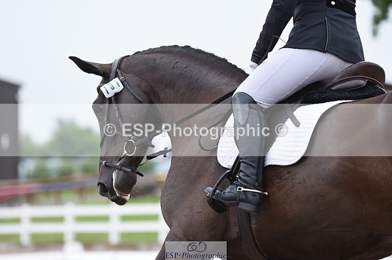 230708A-131132-01863 - Prelim 7