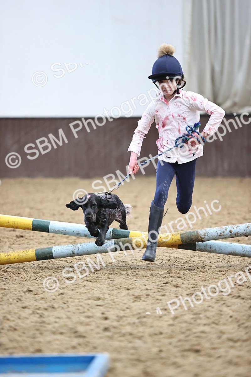 SBM_001433 - Class 3 - Horse & Hound 60cm