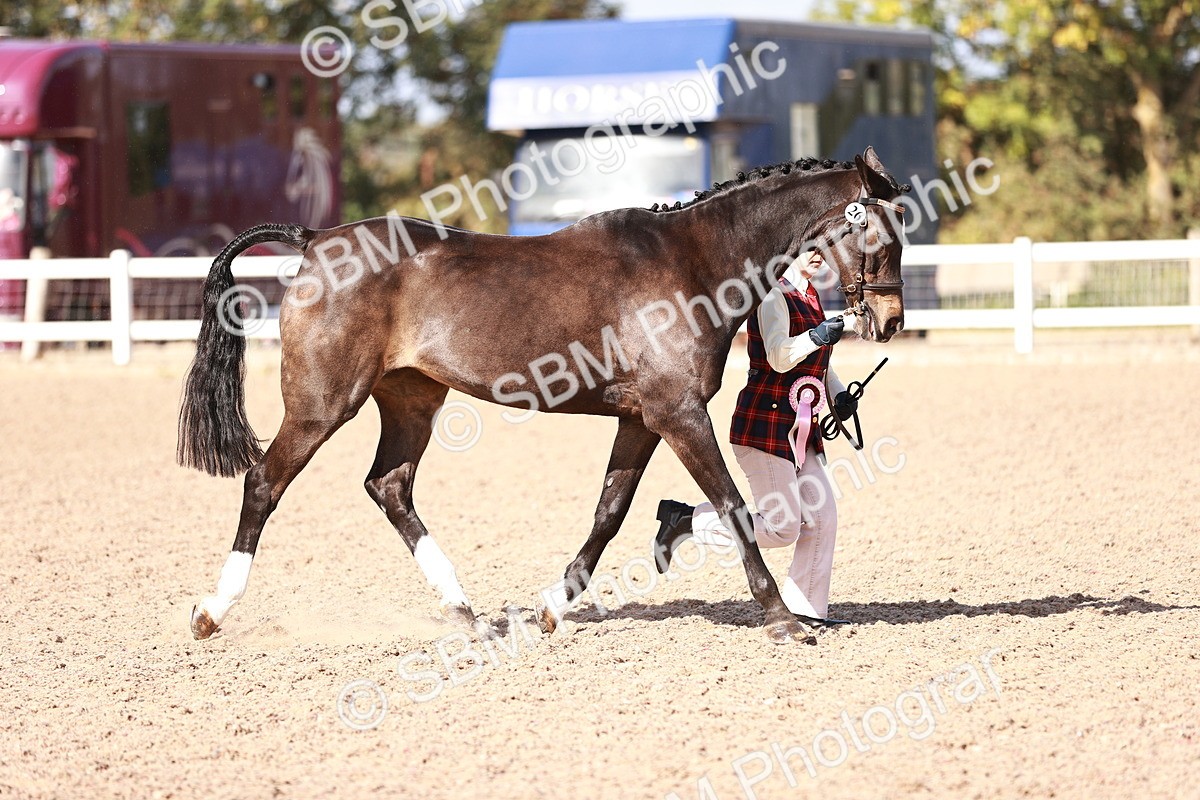 SBM_22854 - Class 705 - IH Combination 65+