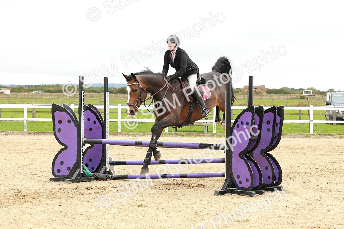 1I0A7029 - Class 2 - Senior British Novice