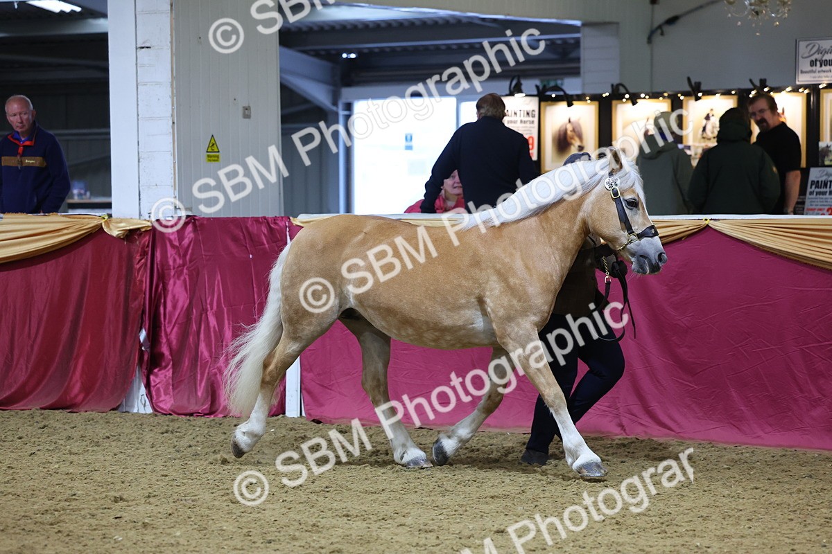SBM_20999 - Class 902 - Supreme Final IH Veteran