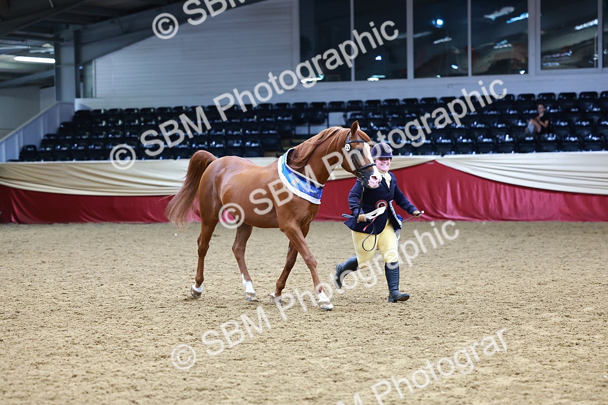 SBM_23930 - Grand Supreme Final - Overall Champ