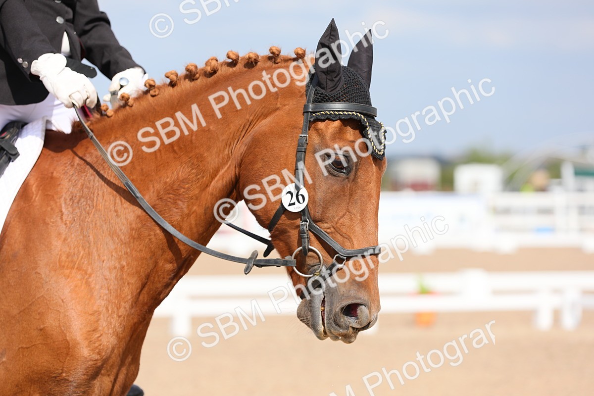 SBM_07457 - Class 33 Elementary 1