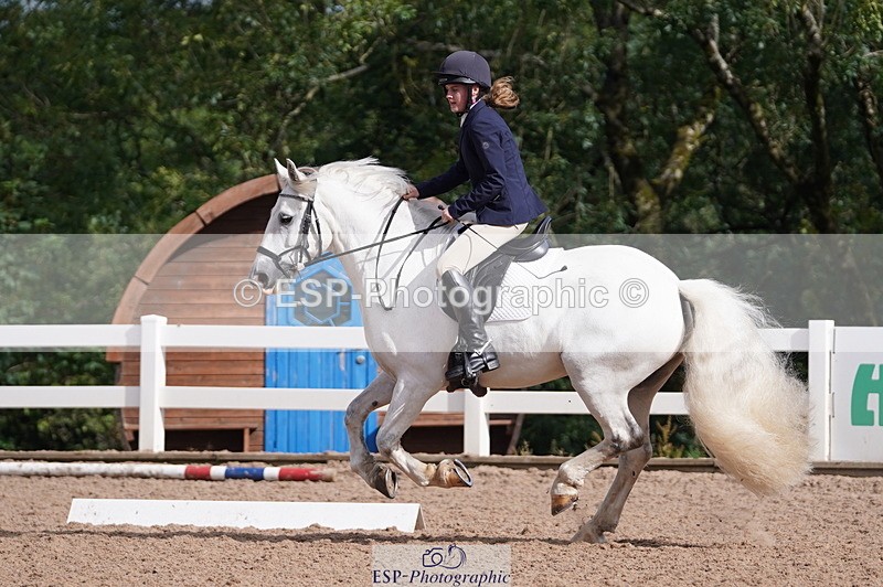 240809A-093420-00285 - Dressage Competition