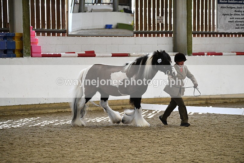 WJ5_5021 - Class 7 In hand coloured / odd coloured