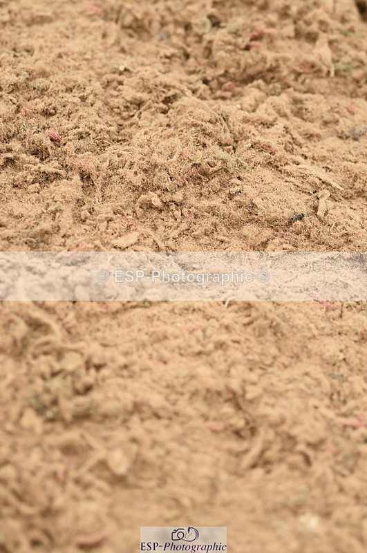 230610A-132942-03495 - Cls 24B 1.10m Amateur Qualifier