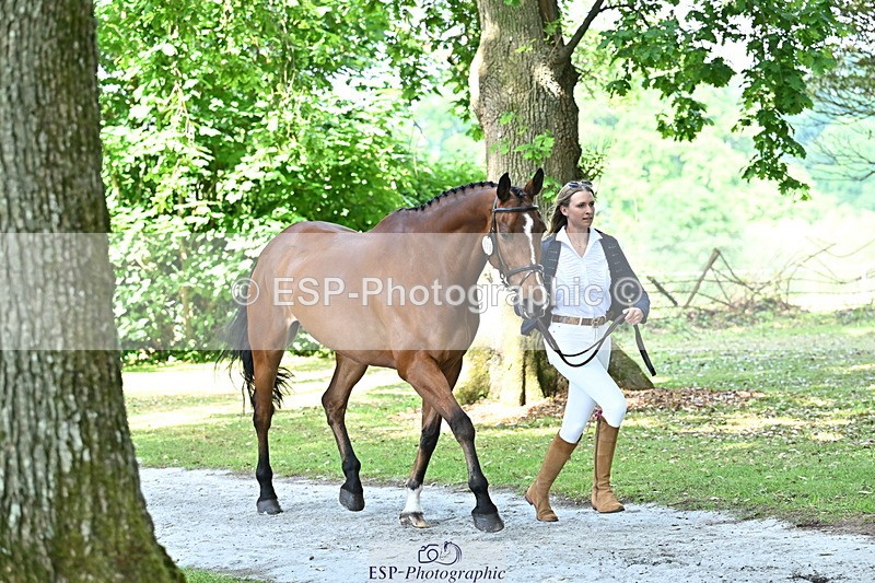 250521A-155453-00835 - B-378-Molly.Brown-KILRUSH.RED