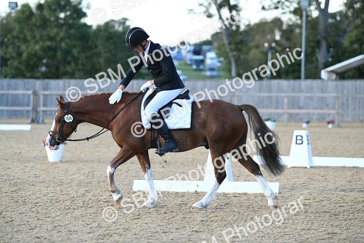 SBM_31023 - D16 - Small Tour Championship - Novice 28
