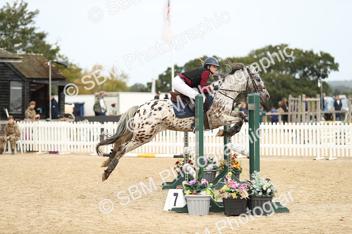 SBM_58560 - J25 - Junior Horse 80cm Championship