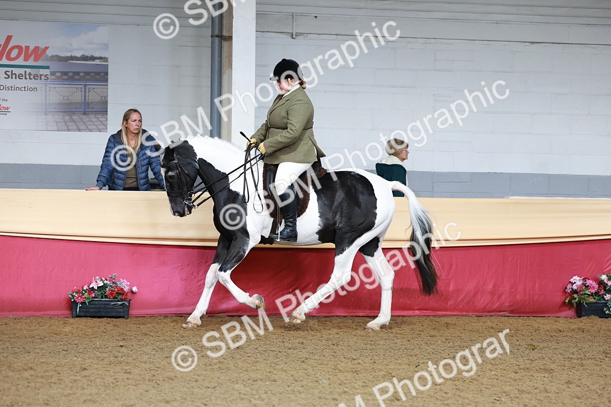 SBM_11852 - Class 102 - Equitation (Best Rider) Adult