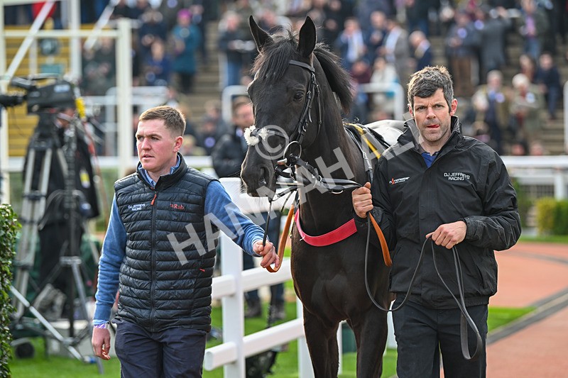 161124-Race 1-Paddock-Irisante-9036 - Race 1