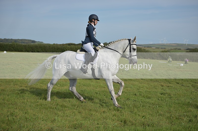 RAY_7683 - Class 2B: Trekenning Open: Dressage