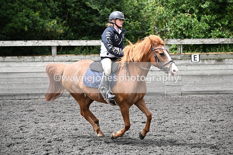 WJ6_0194 - Class 13 Novice 60cm