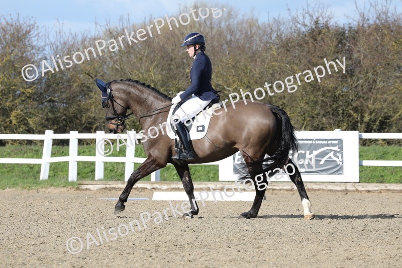 20260314-5048 - CT6 - Elementary 1