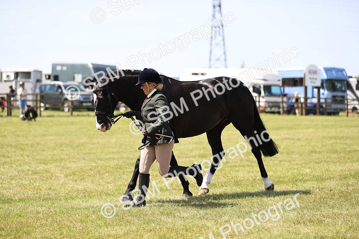 SBM_15232 - Class 79-80 - LIHS BSHA Rising Star Ridden Hunter