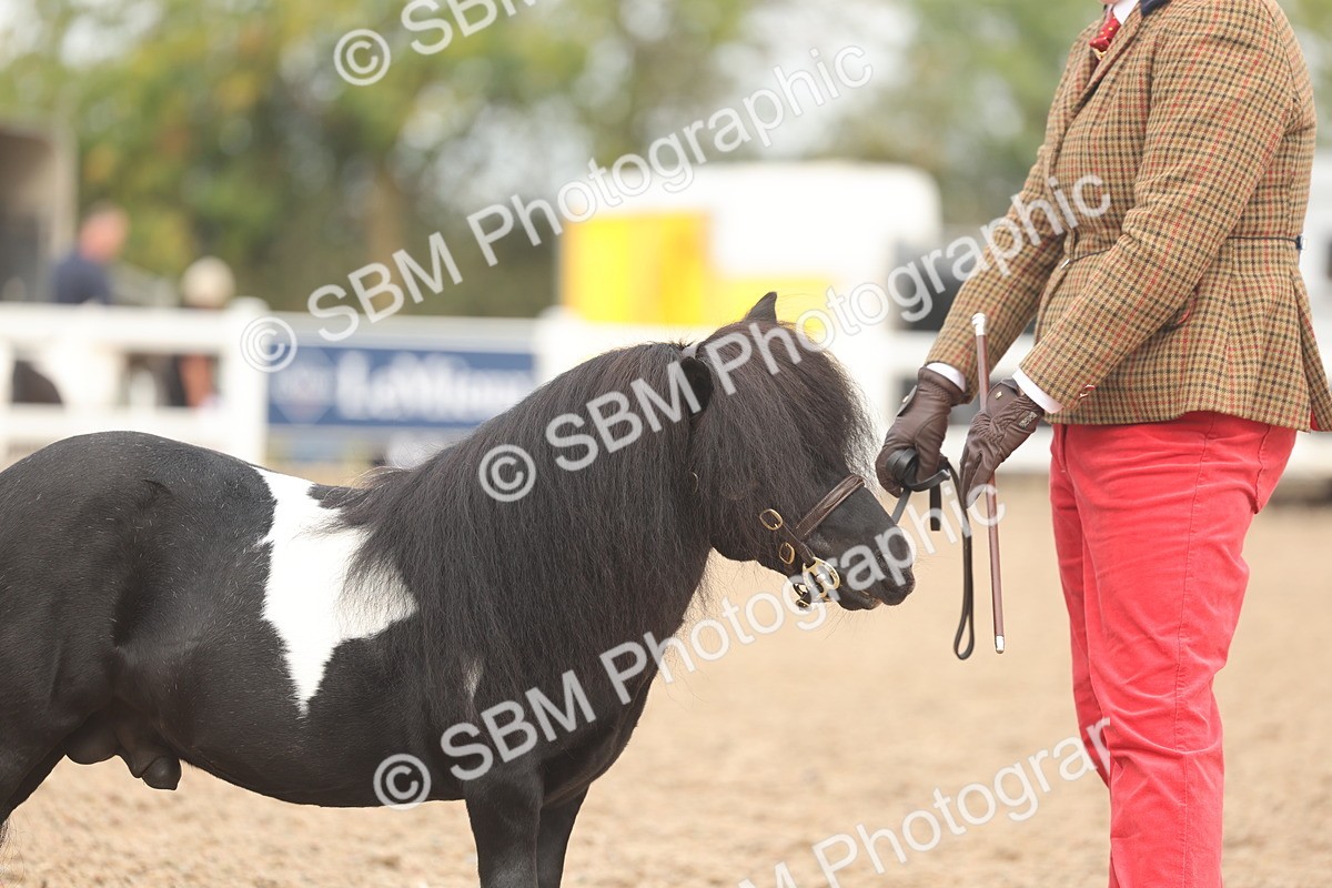 SBM_02127 - Class 15 - IH Coloured