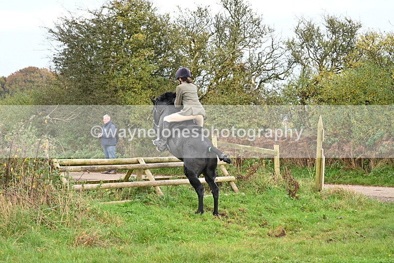 WJ7_0372 - Camera 1 & Last fence