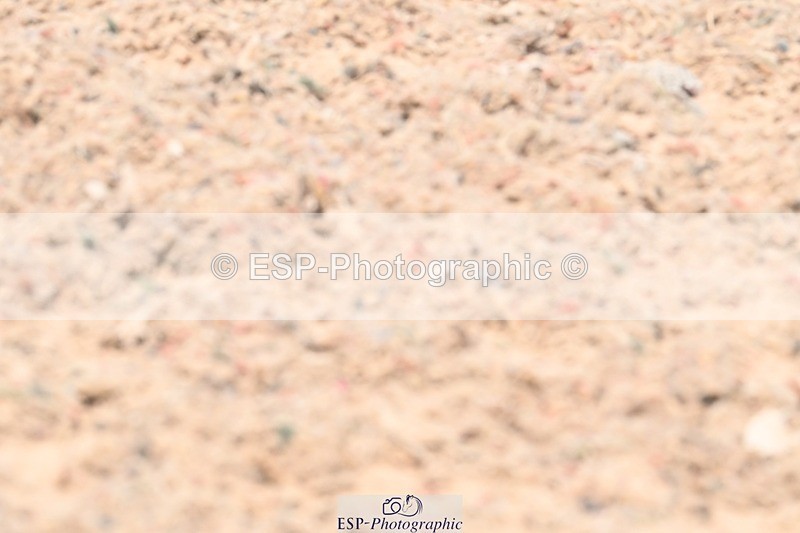 250621-135419-11413 - Cls 30 - Elementary 6