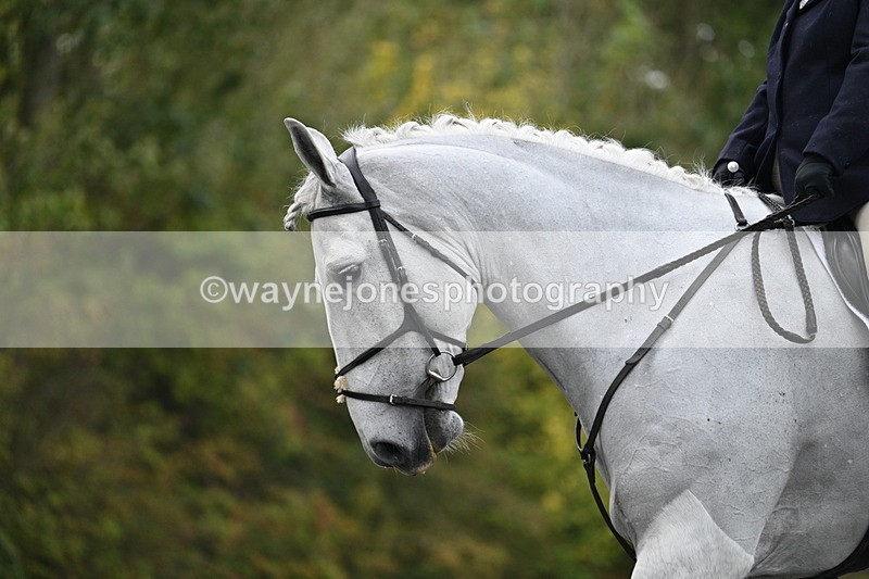 WJ7_2917 - Time 09:00 to 09:35