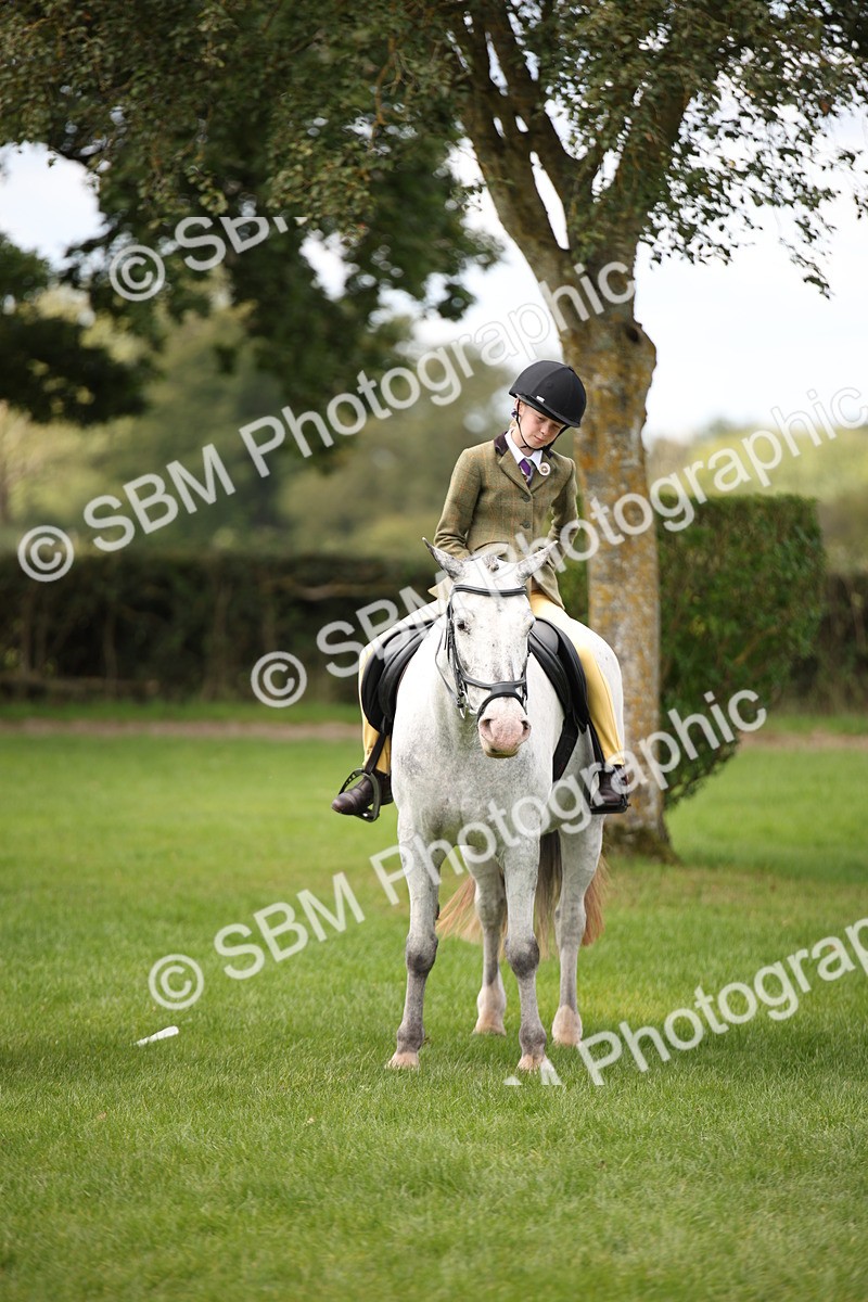 SBM_42356 - S13 - Pony Club Pony