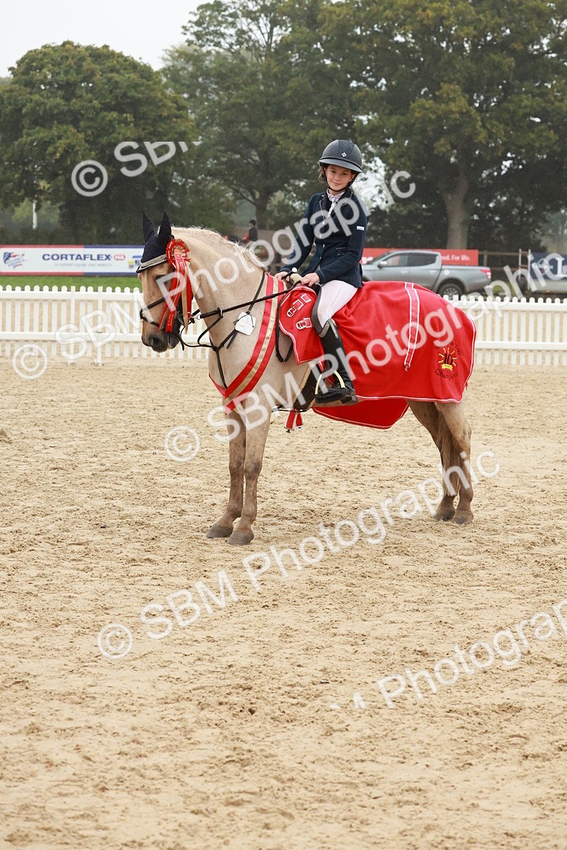 SBM_73529 - Supreme Championship Junior Pony 60cm & 65cm