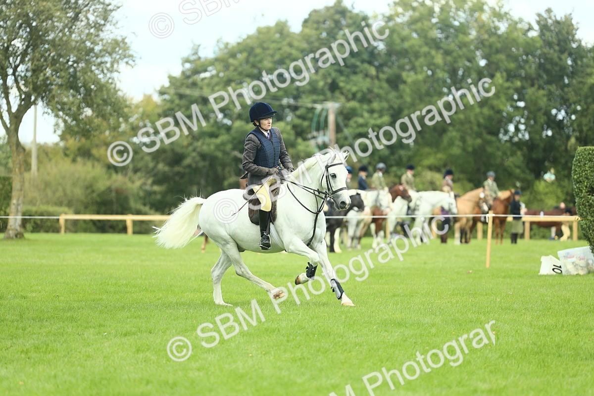 SBM_42788 - S30 - M&M Working hunter Pony