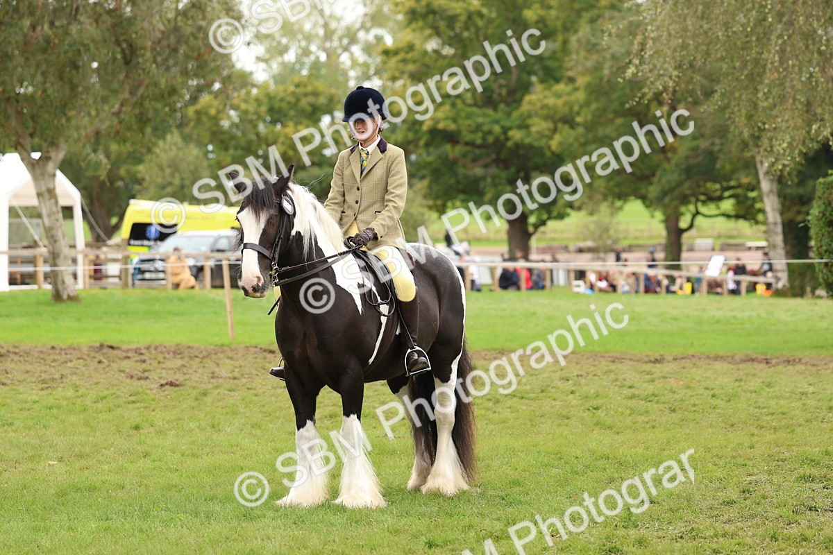 SBM_64501 - S58 - Coloured Pony Ridden