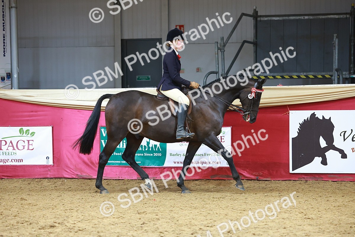 SBM_10500 - Class 103 - HOYS Veteran Qualifier - Ridden Pre Vet