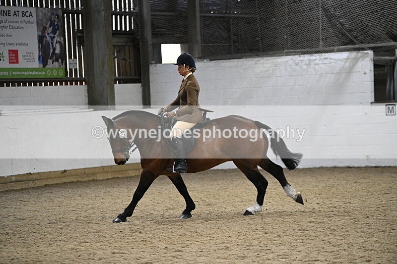 WJ7_4027 - Class 17 Ridden Cob