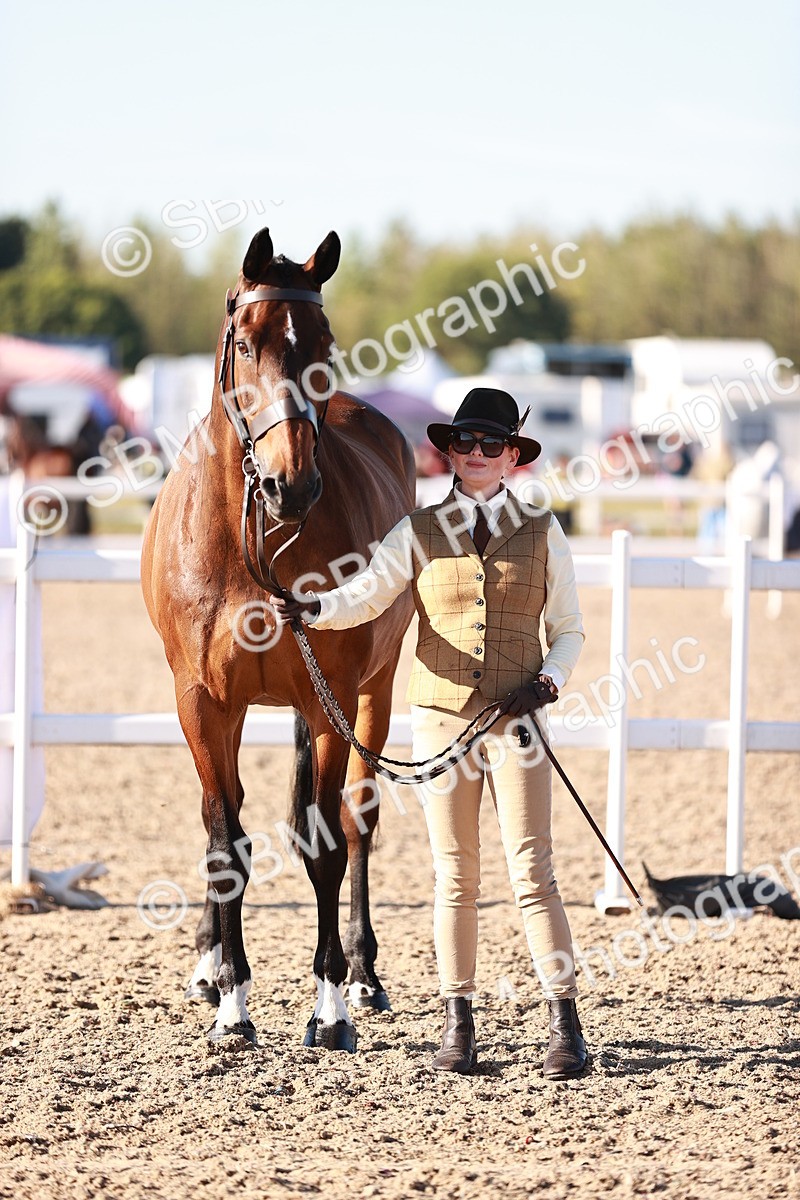 SBM_11188 - Class 401 - IH  Veteran horse