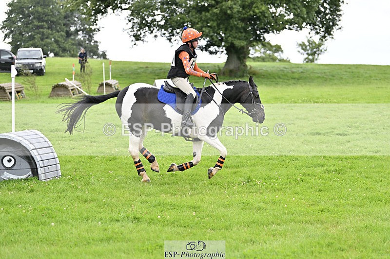 240804-144436-15450 - 555-Jack_Wish-WESTERLAKE_BUTTONWEED