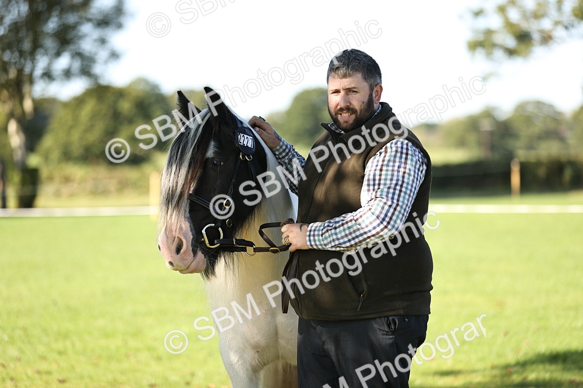 SBM_15881 - S1 - TSR in Hand Horse & Pony Showing