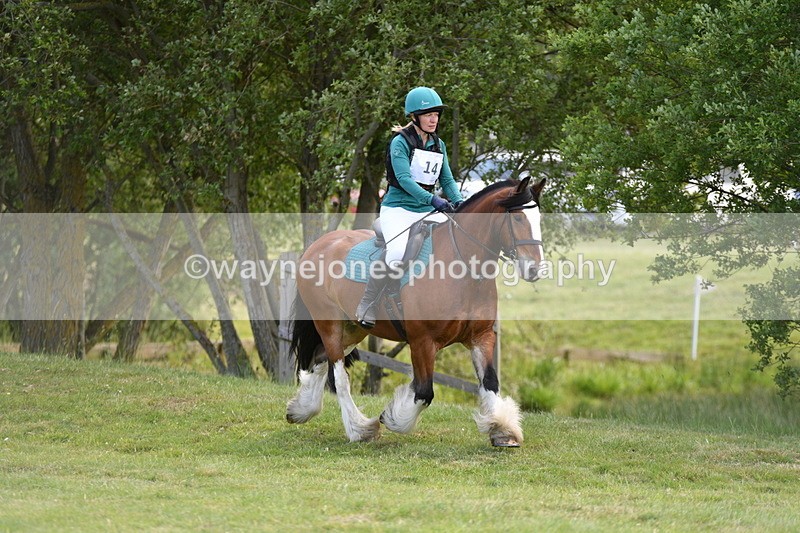 WJ5_2647 - Class 2 40cm