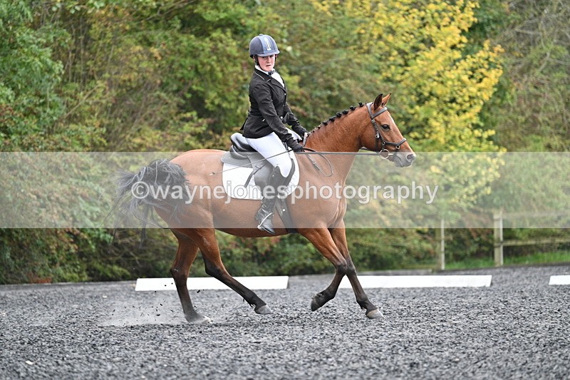 WJ7_3640 - Time 11:04 to 11:38