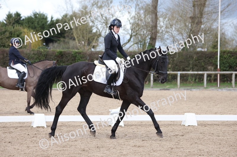 20260301-0746 - Class 4 - Novice 5