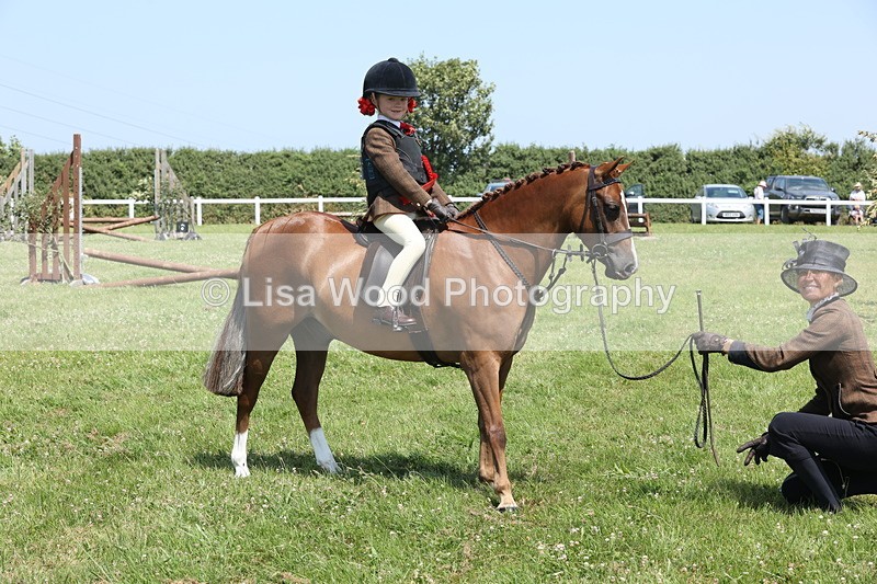 JPP_2372 - Class 20: Tiny Tots Working Hunter Pony