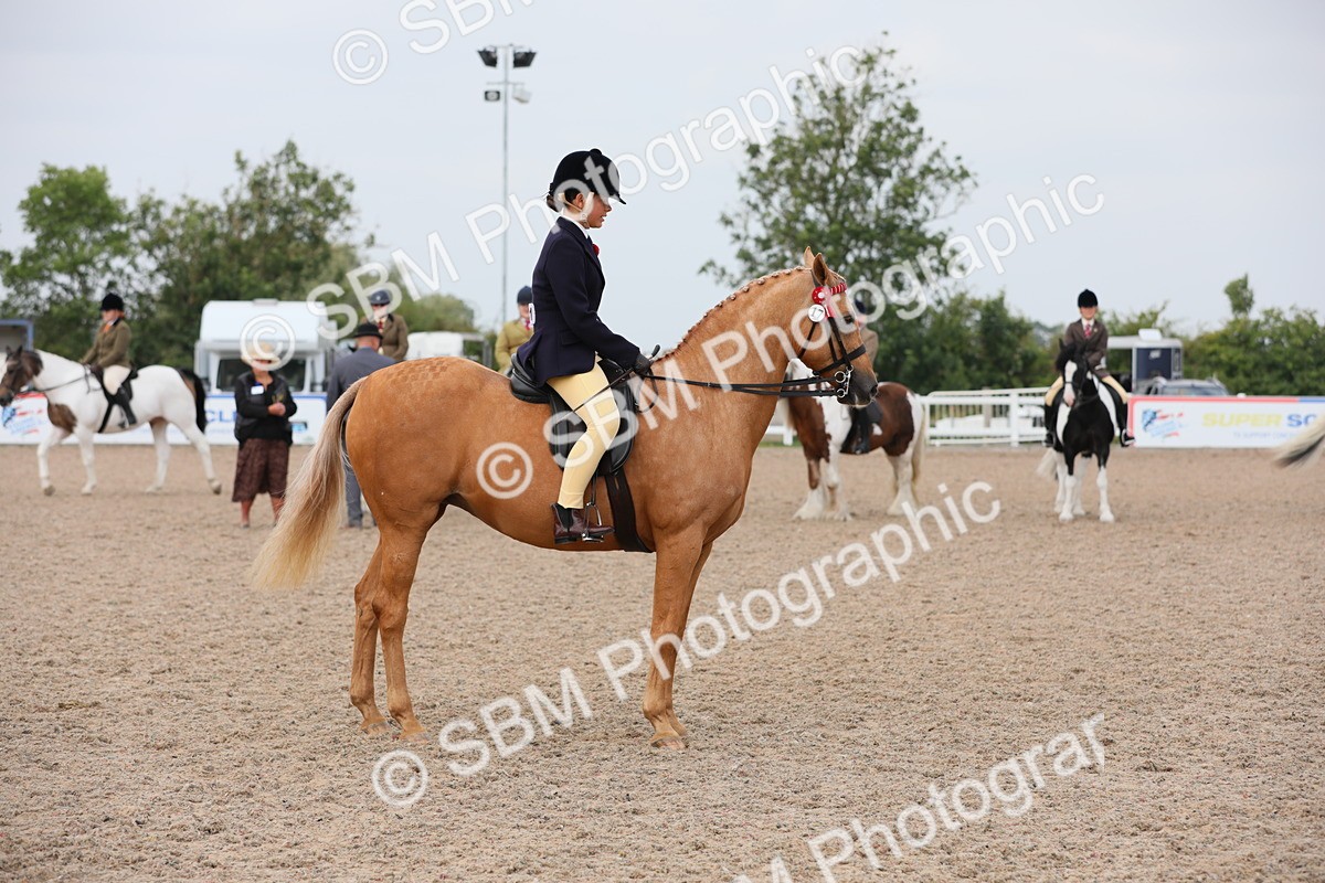 SBM_12729 - Class 307 Ridden Coloured Pony