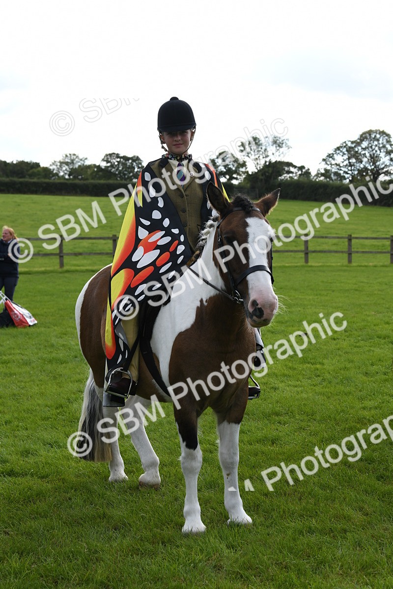 SBM_47230 - S12 - Family Horse & Pony