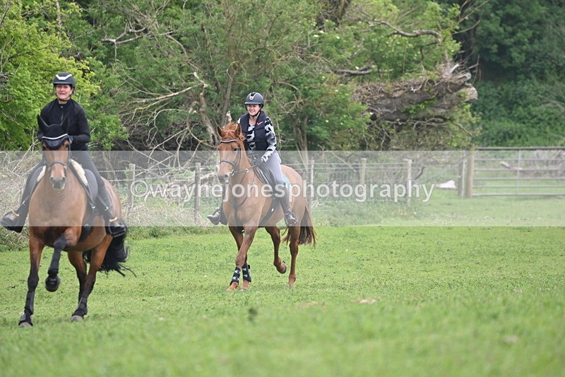 WJ6_2612 - A camera