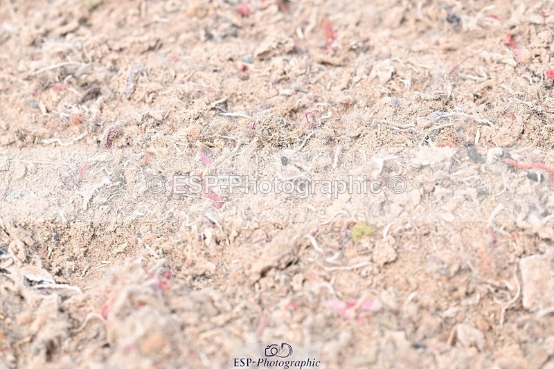 250621-141950-08729 - Cls 38 - FEI PSG