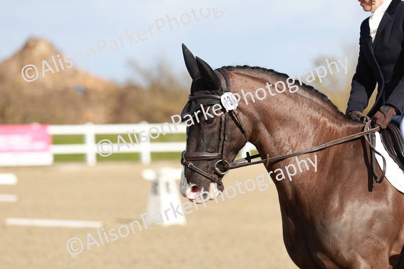 20260314-4462 - DR4 - Prelim 2