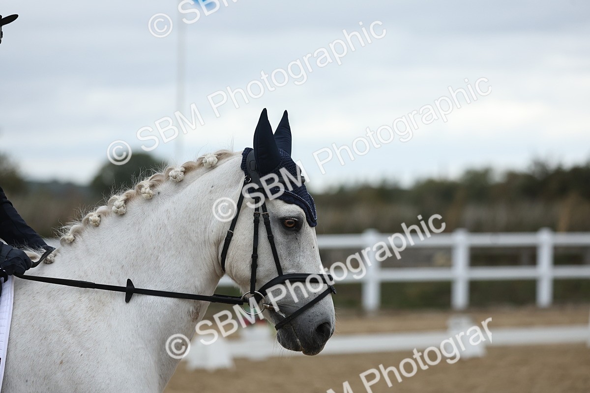 SBM_004230 - Class 8 - Novice 3 Champs
