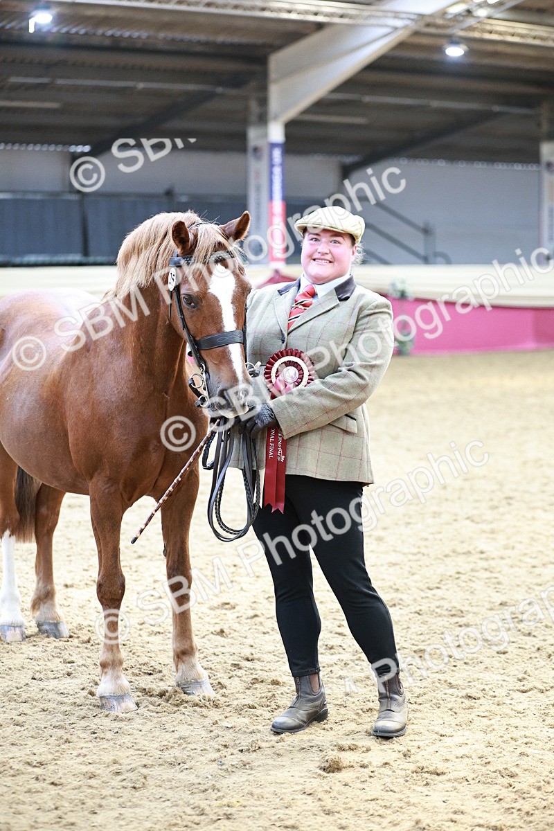 SBM_04895 - Class 7R - Regional IH Diamond